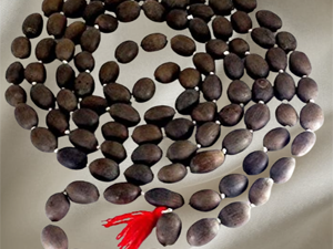 Kamal Gatta Jaap Mala