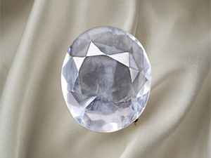 White Pukhraj syloni